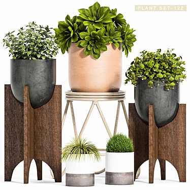 Elegant Plant Ensemble 3D model image 1 