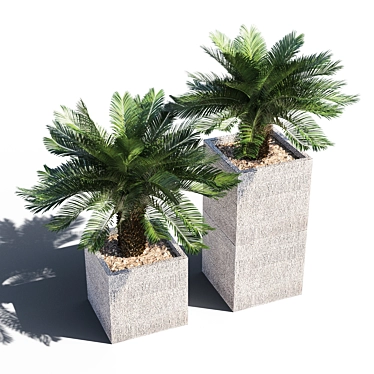 Lifelike Cycas Palm Tree 3D model image 1 