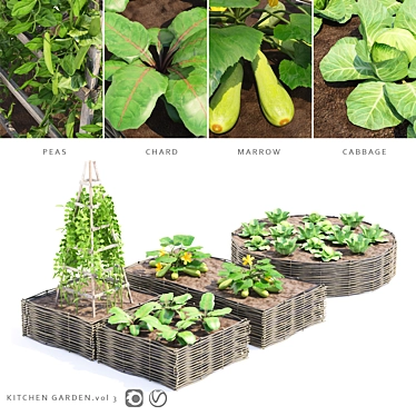3D Vegetable Garden: Vol. 3 | Kitchen Garden 3D model image 1 