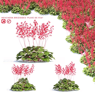 Fiery Rain Heucherella | Stunning Red Foliage 3D model image 1 
