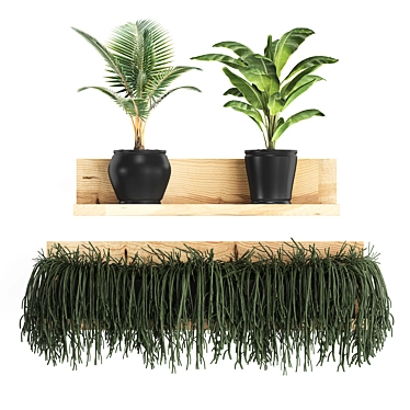Exotic Plant Collection: Banana & Coconut Palm 3D model image 1 