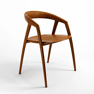 Sculptural Wooden Chair: DC09 3D model image 1 