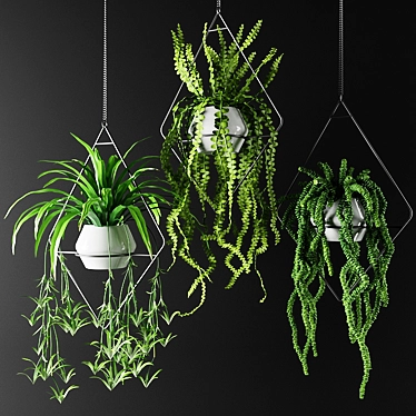 Diamond Hanging Flowerpot Plants | Luxe Greenery 3D model image 1 