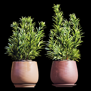 Rosemary Plant Set 3D model image 1 