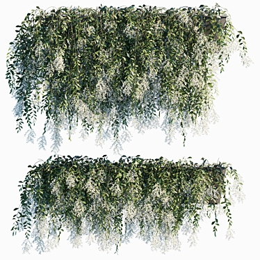 Vibrant Vernonia: Flowering Plant in Pots 3D model image 1 