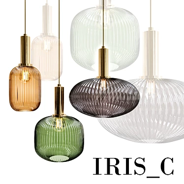 Modern Iris_C Pendant Light - Silve 3D model image 1 