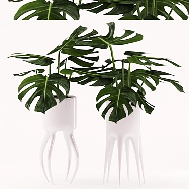 Monstera Plant in Ceramic Pot 3D model image 1 