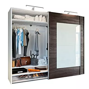 Spacious Wardrobe with 290x60x240 Filling 3D model image 1 