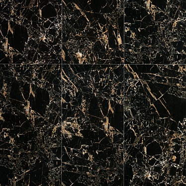 TigerBlack Porcelain Tiles - Bold & Sleek 3D model image 1 