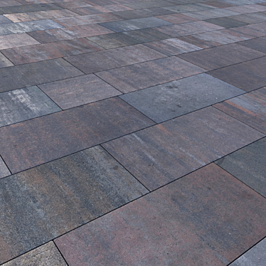 Modern Golden Mandarin Paving Slabs 3D model image 1 