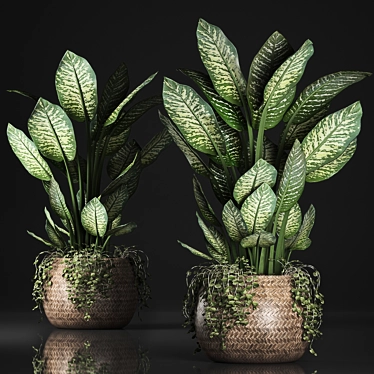 Exotic Indoor Plant Collection 3D model image 1 