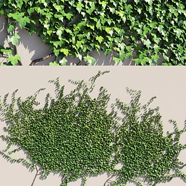 Polys Ivy Green Wall - 4000 mm 3D model image 1 