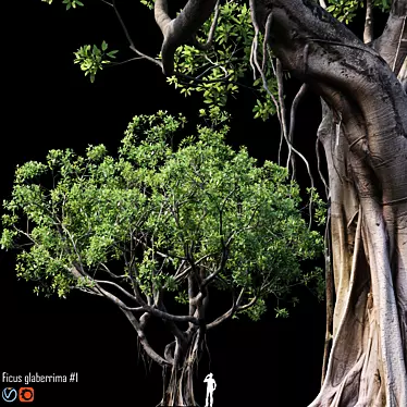 500K Ficus Tree 3D Model 3D model image 1 