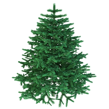 Christmas tree | Christmas tree