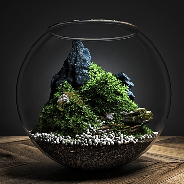 Glass Enclosed Decorative Ecosystem 3D model image 1 