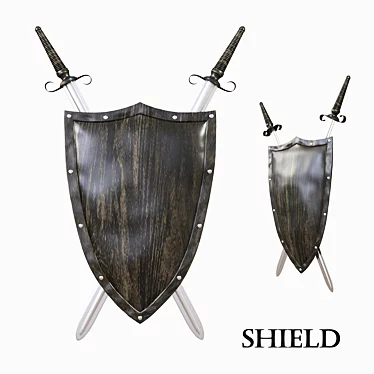 Shield on the Wall 3D model image 1 