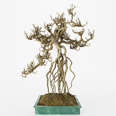 Elegant Bonsai Tree Sculpture 3D model image 1 