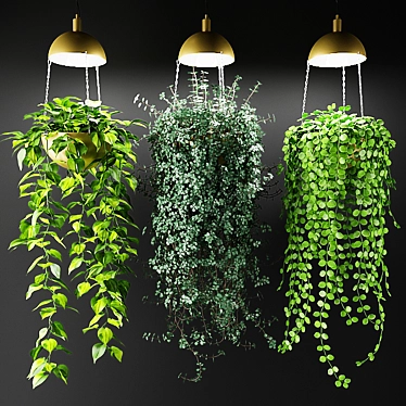 Luminous Hanging Plants in Chic Cache-Pot 3D model image 1 