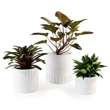 Modern Concrete Planters Set 3D model image 1 