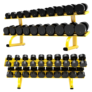 Premium Dumbbell Rack: Organize with Style 3D model image 1 