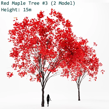 Lush Red Maple Tree: Stunning & Lifelike Foliage 3D model image 1 