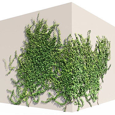 Ivy Corner English Wall Decor 3D model image 1 