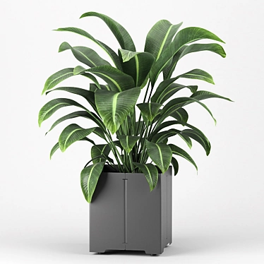 Introducing: Potted Plant from the CAPE Collection 3D model image 1 