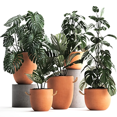 Monstera Plant Collection: Exotic Houseplants, Decorative Set 3D model image 1 