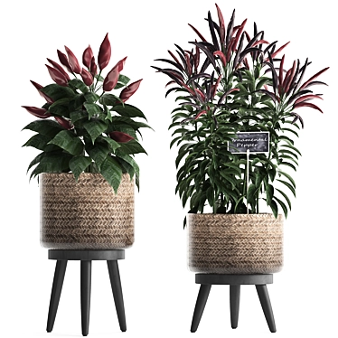 Exotic Houseplant Collection 3D model image 1 