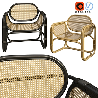 Tropical Rattan Wicker Chair 3D model image 1 