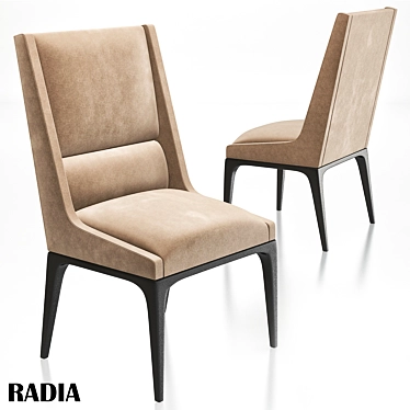 Radia Walnut Dining Chair 3D model image 1 