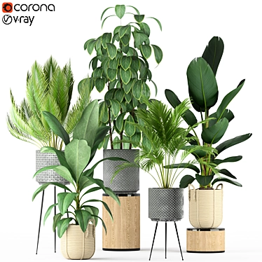 Tropical Oasis: Plant Collection 3D model image 1 