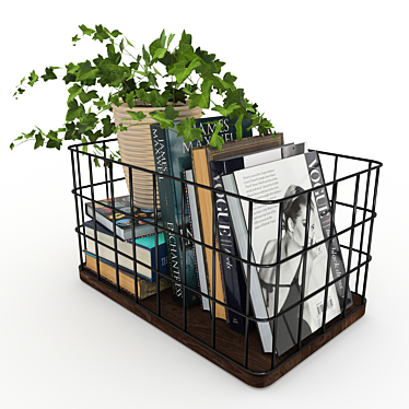 Rustic Metal & Wood Basket with Books and Ivy 3D model image 1 