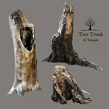 Realistic Tree Trunk 3D Model 3D model image 1 