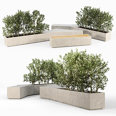 Modern Box Planter for Olea Europaea 3D model image 1 