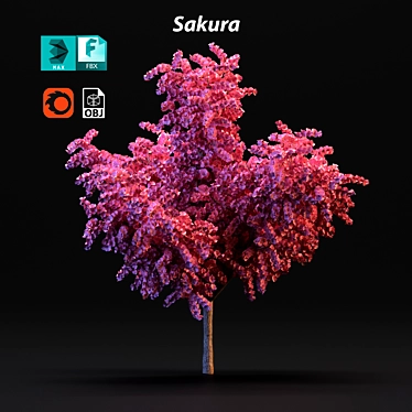 Cherry Blossom Tree 3D model image 1 