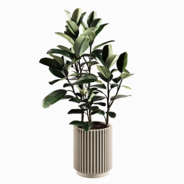 Lush Indoor Plant Variety Set 3D model image 1 
