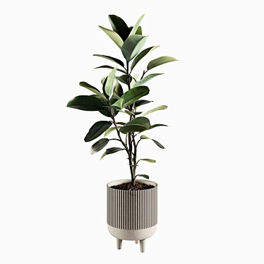 Green Oasis Indoor Plant Set 3D model image 1 