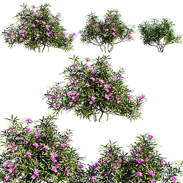 Exquisite Rhododendron Filigran: Detailed 3D Model 3D model image 1 