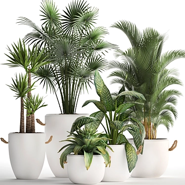 Exotic Houseplant Collection 3D model image 1 