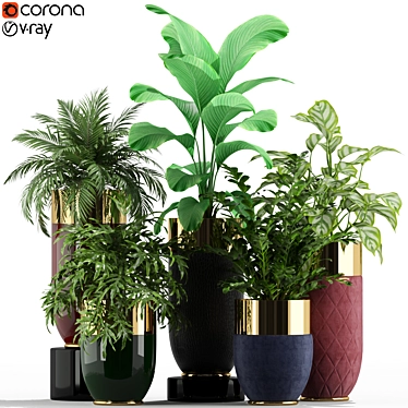 233 Longhi Godwin Plant Collection 3D model image 1 