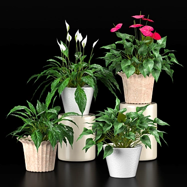 Duo Plant Happiness Set 3D model image 1 