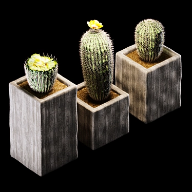Desert Dreams: Photorealistic Barrel Cactus 3D model image 1 