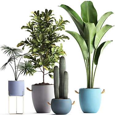 Exotic Houseplant Collection 3D model image 1 