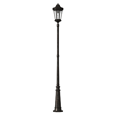 Elegant Forged Street Lamp 3D model image 1 