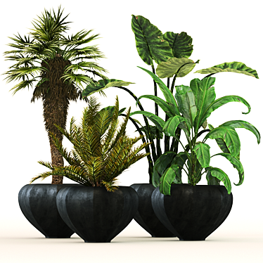 Lush Oasis: Office and Coffee Shop Plant Set 3D model image 1 