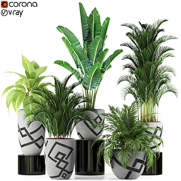 Exquisite Plants Set 236 3D model image 1 