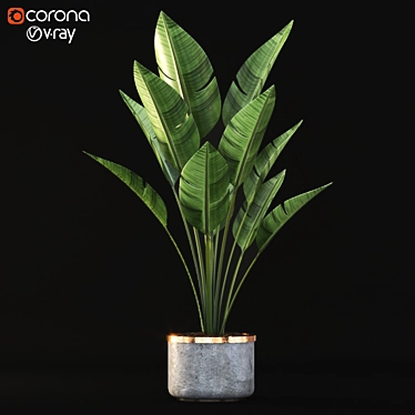 3D Plant Model - High Quality 3D model image 1 