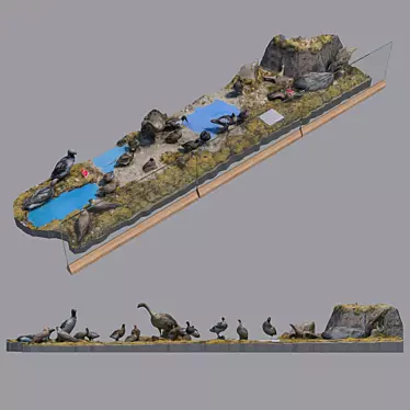 Avian Exhibition: High-Resolution Bird Exposition Map 3D model image 1 