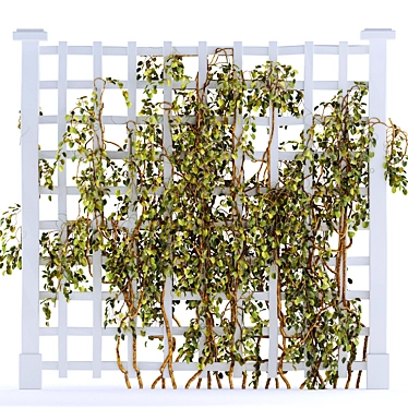 Versatile Trellis for Indoor & Outdoor Plants 3D model image 1 